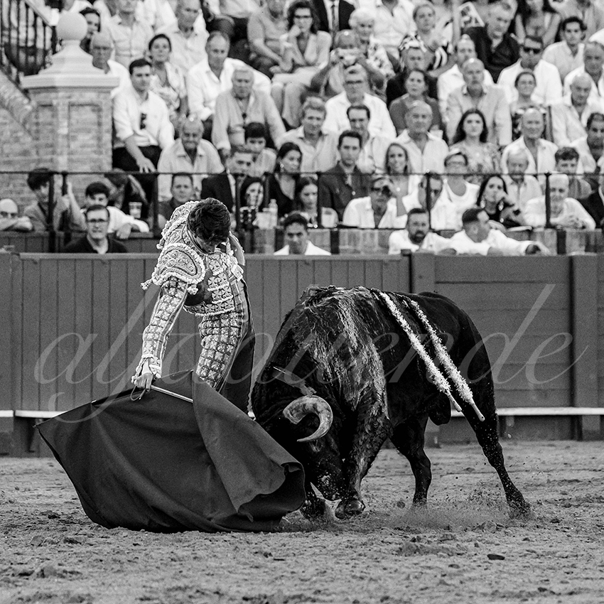 20230430 sevilla 013