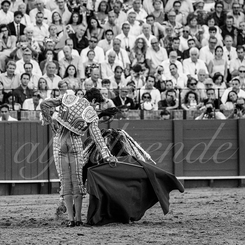 20230430 sevilla 012