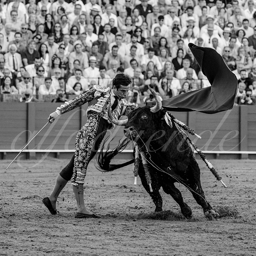 20231001 sevilla 019