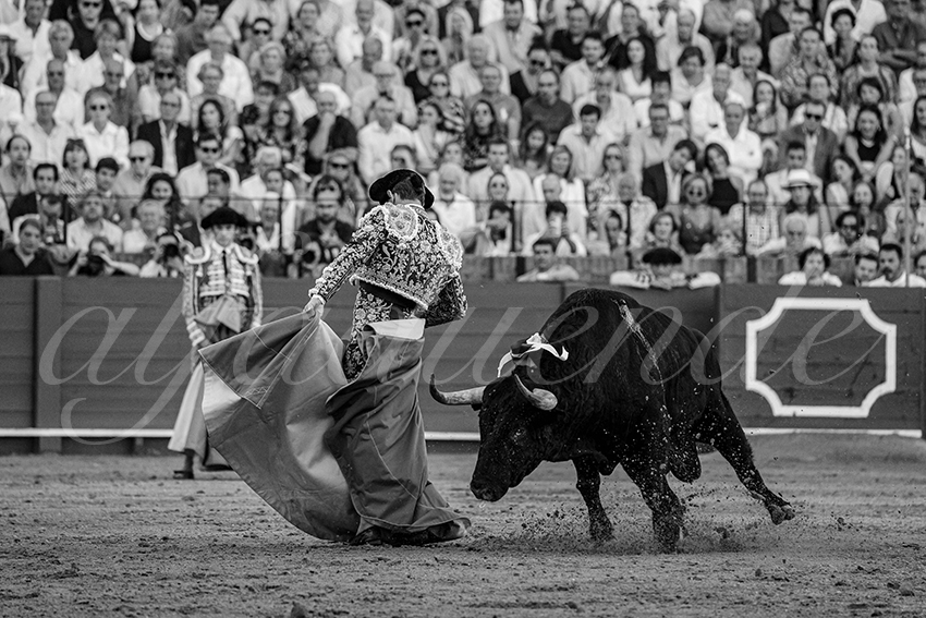 20231001 sevilla 017