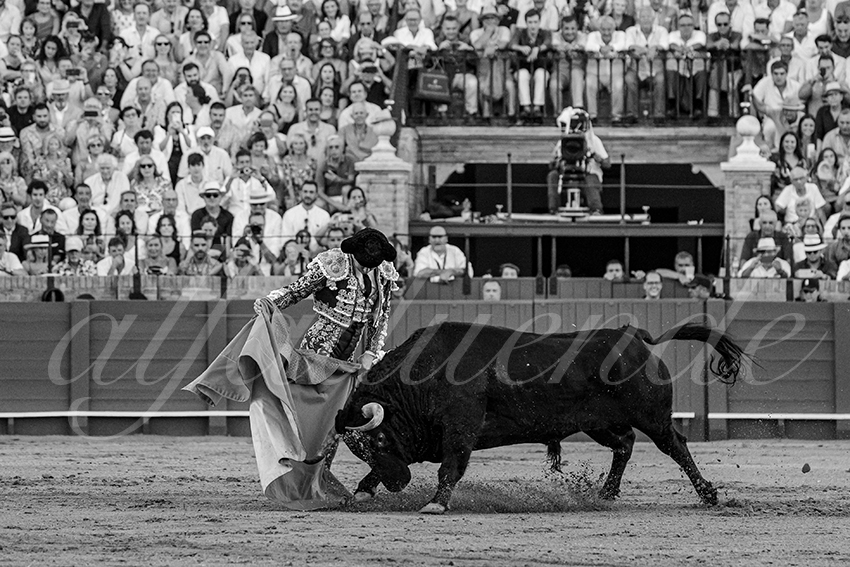 20231001 sevilla 015