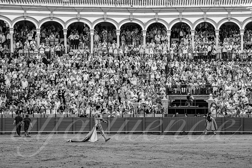 20231001 sevilla 013