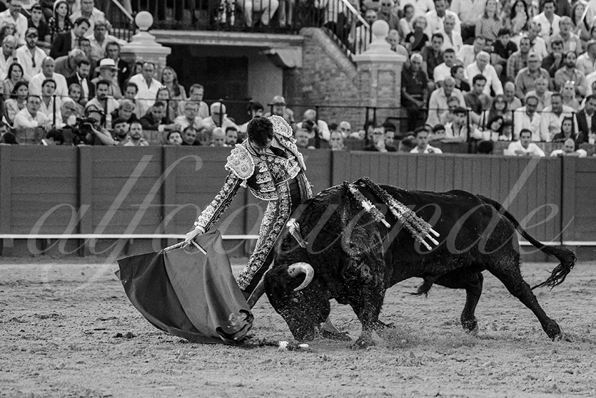 20231001 sevilla 043