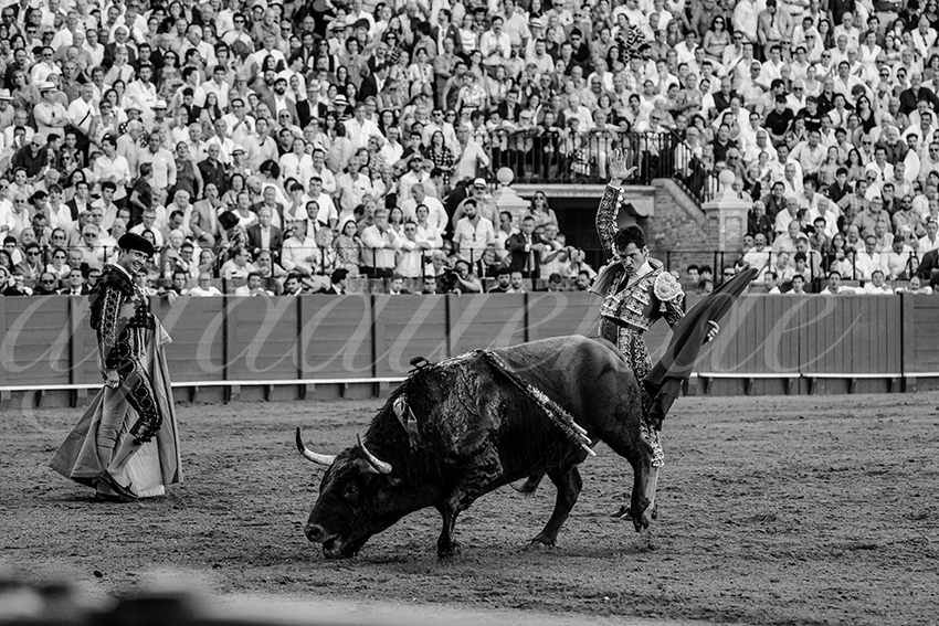 20231001 sevilla 041