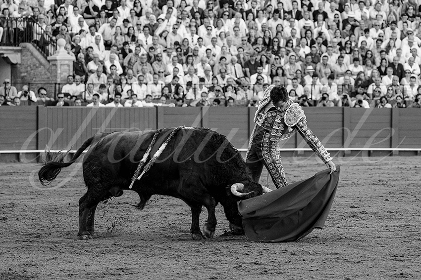 20231001 sevilla 040