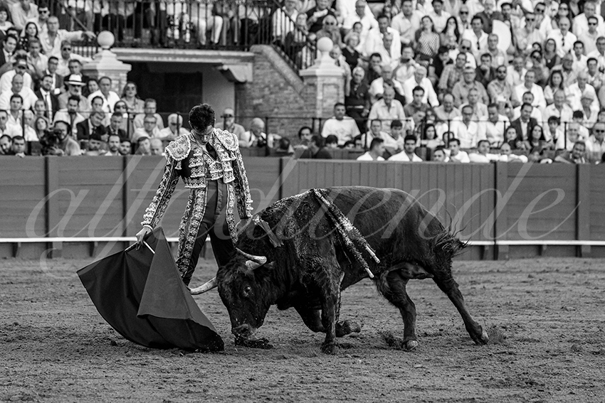 20231001 sevilla 039