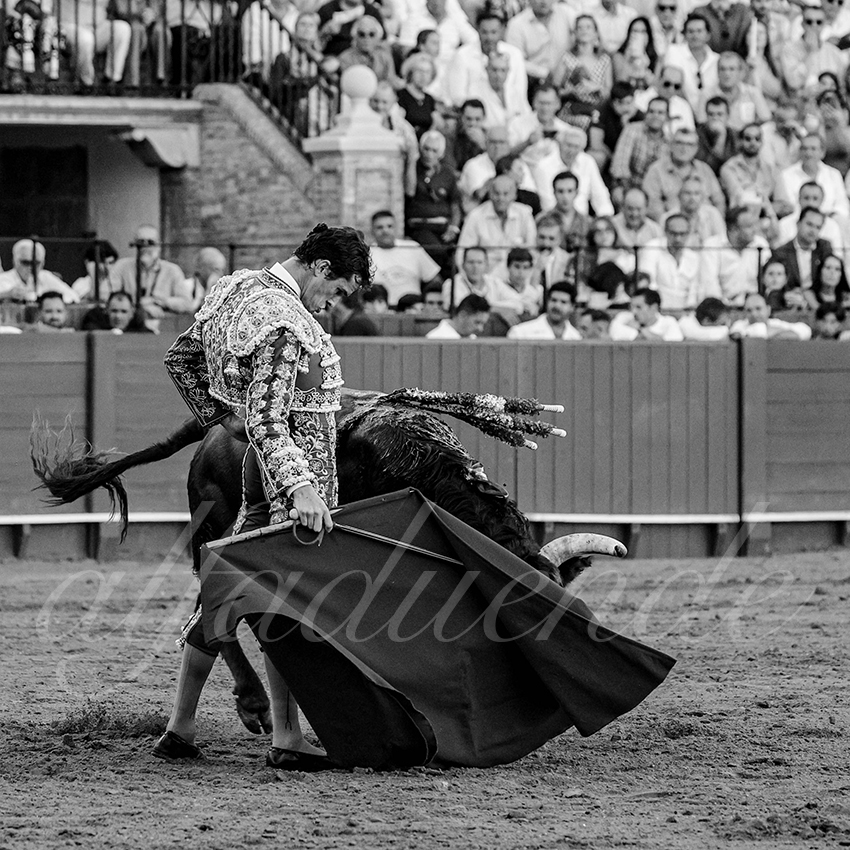 20231001 sevilla 038