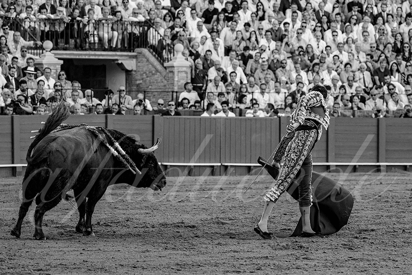 20231001 sevilla 037