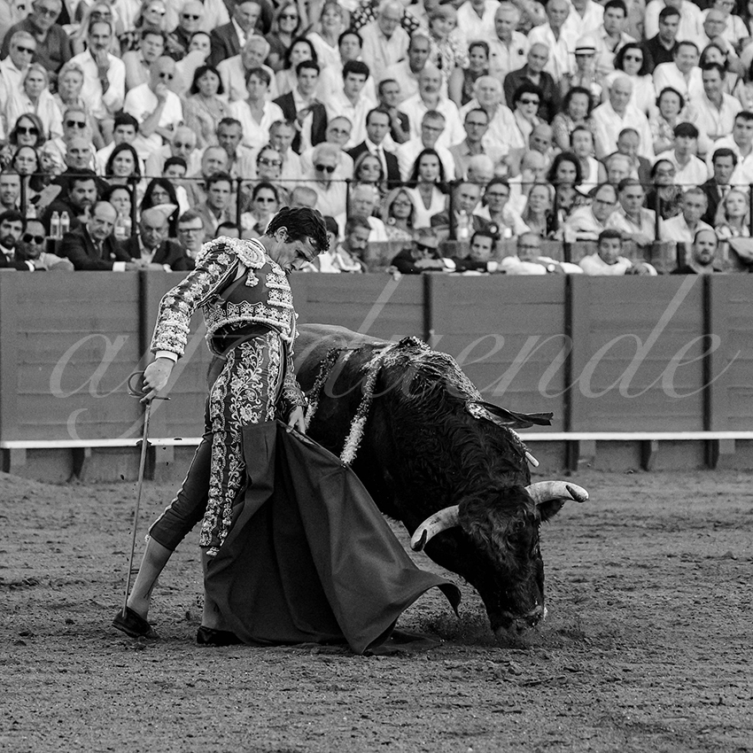 20231001 sevilla 036