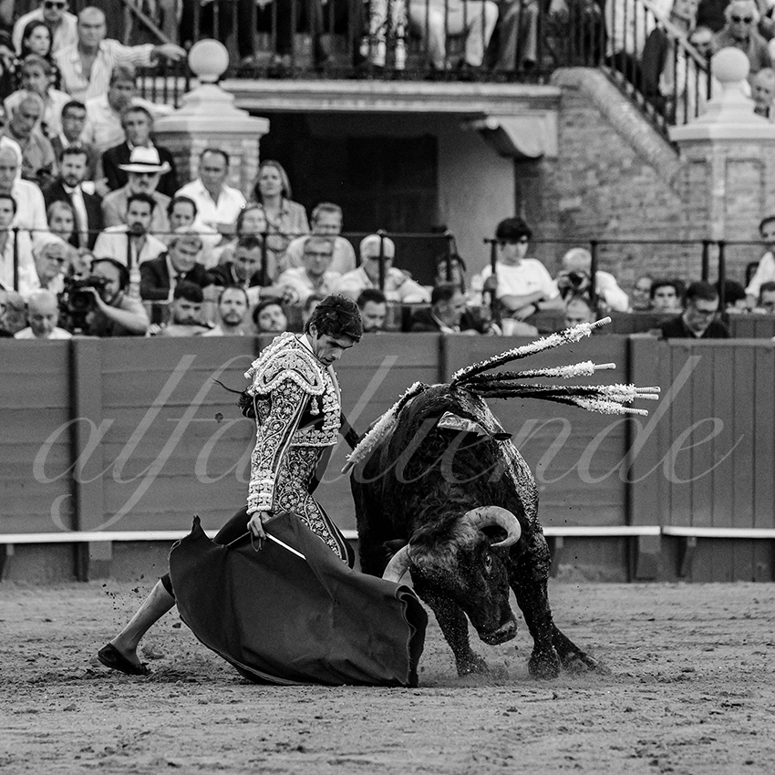 20231001 sevilla 035