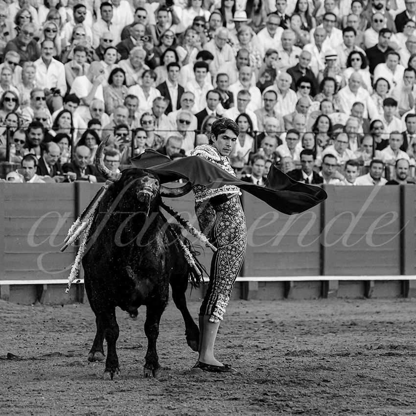 20231001 sevilla 031