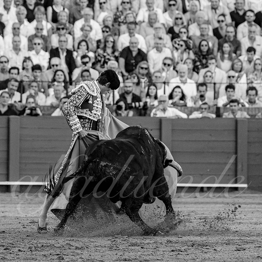 20231001 sevilla 029