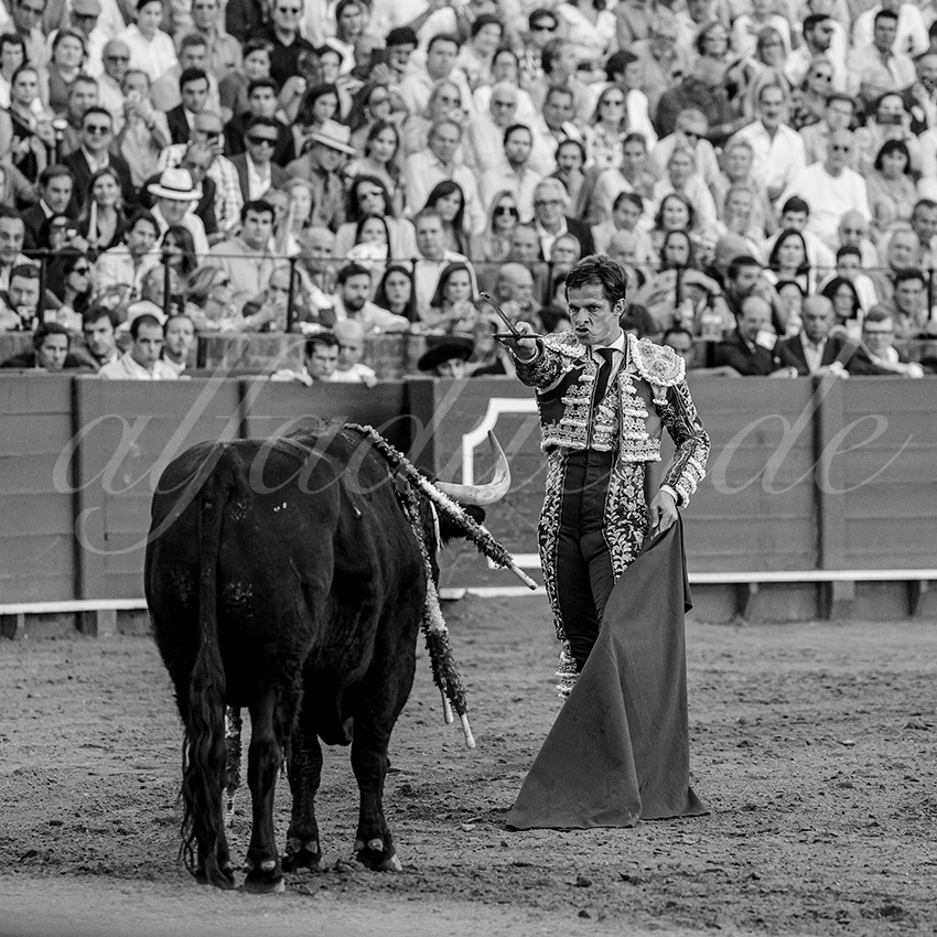 20231001 sevilla 025