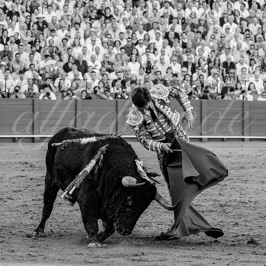 20231001 sevilla 023