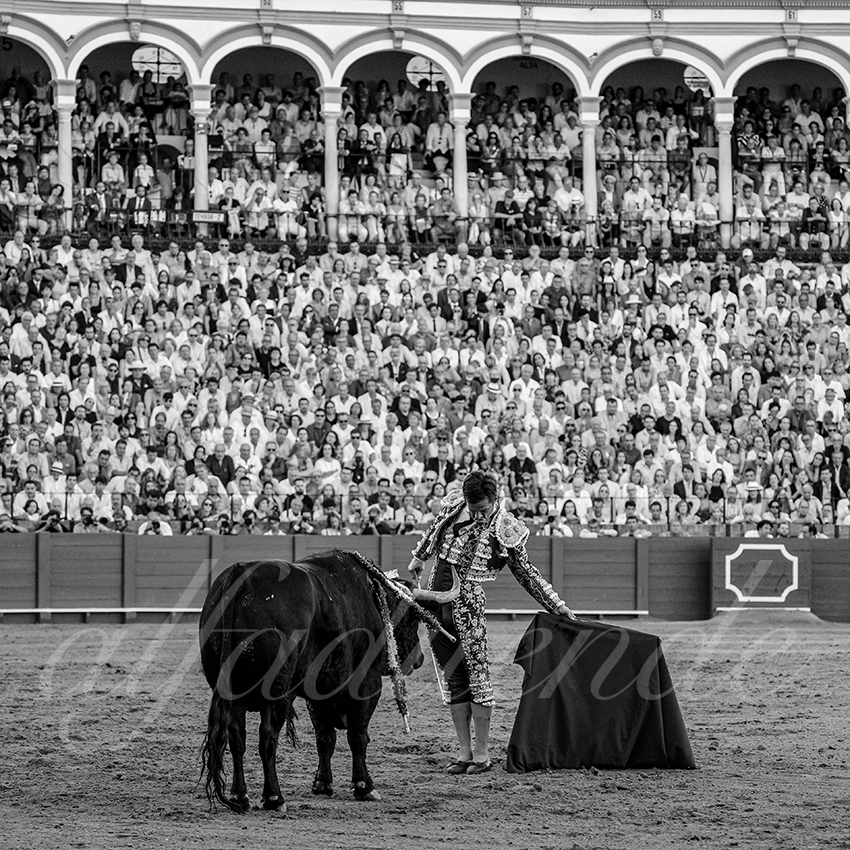 20231001 sevilla 022