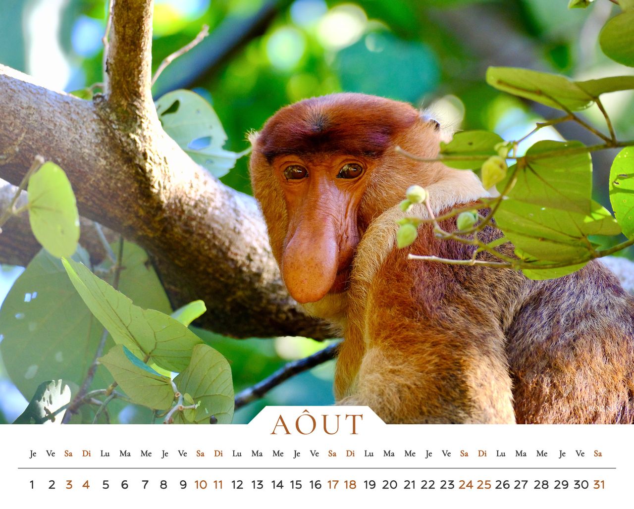 Calendrier paysage09