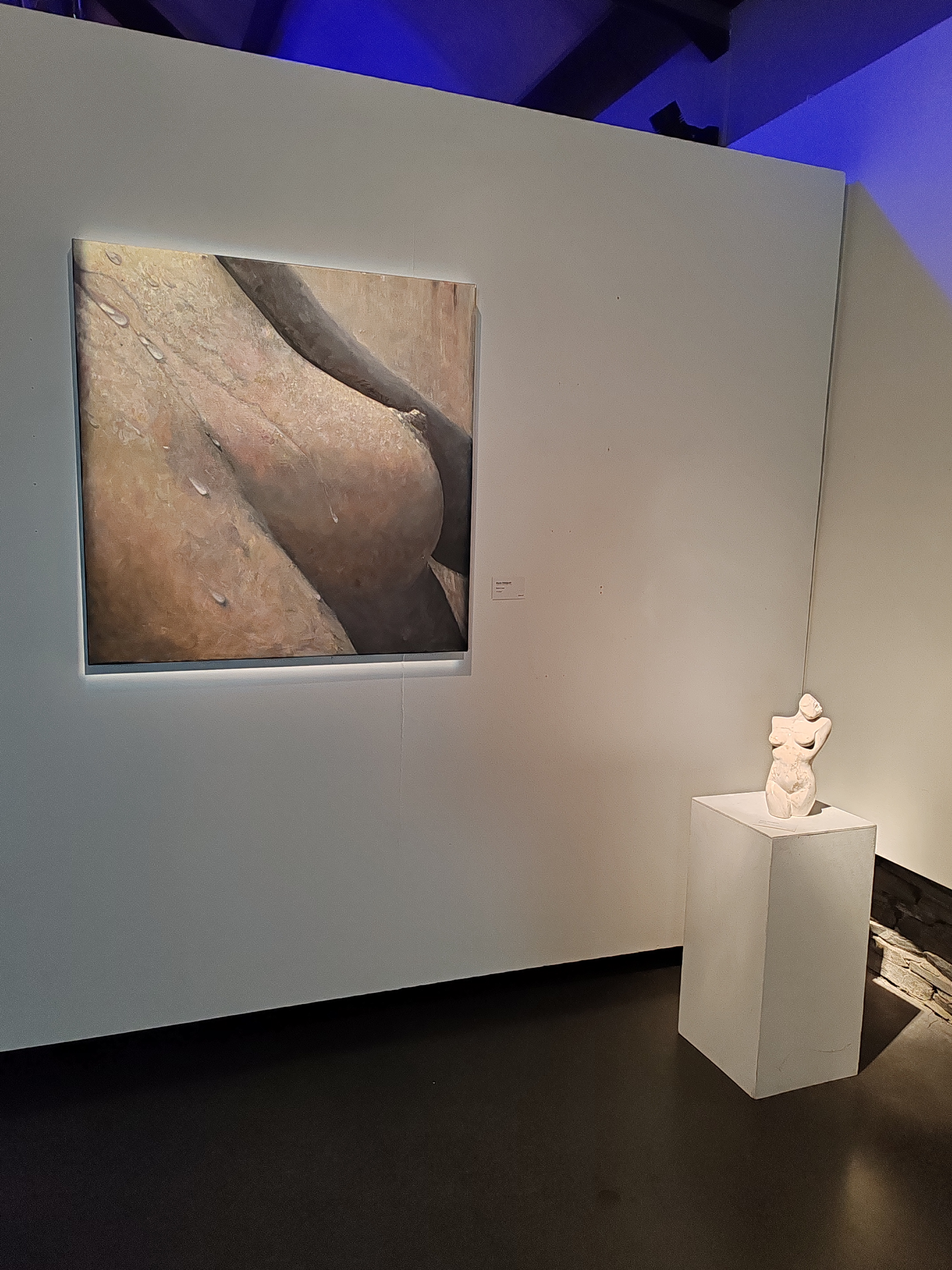 Img 20241125 130010
