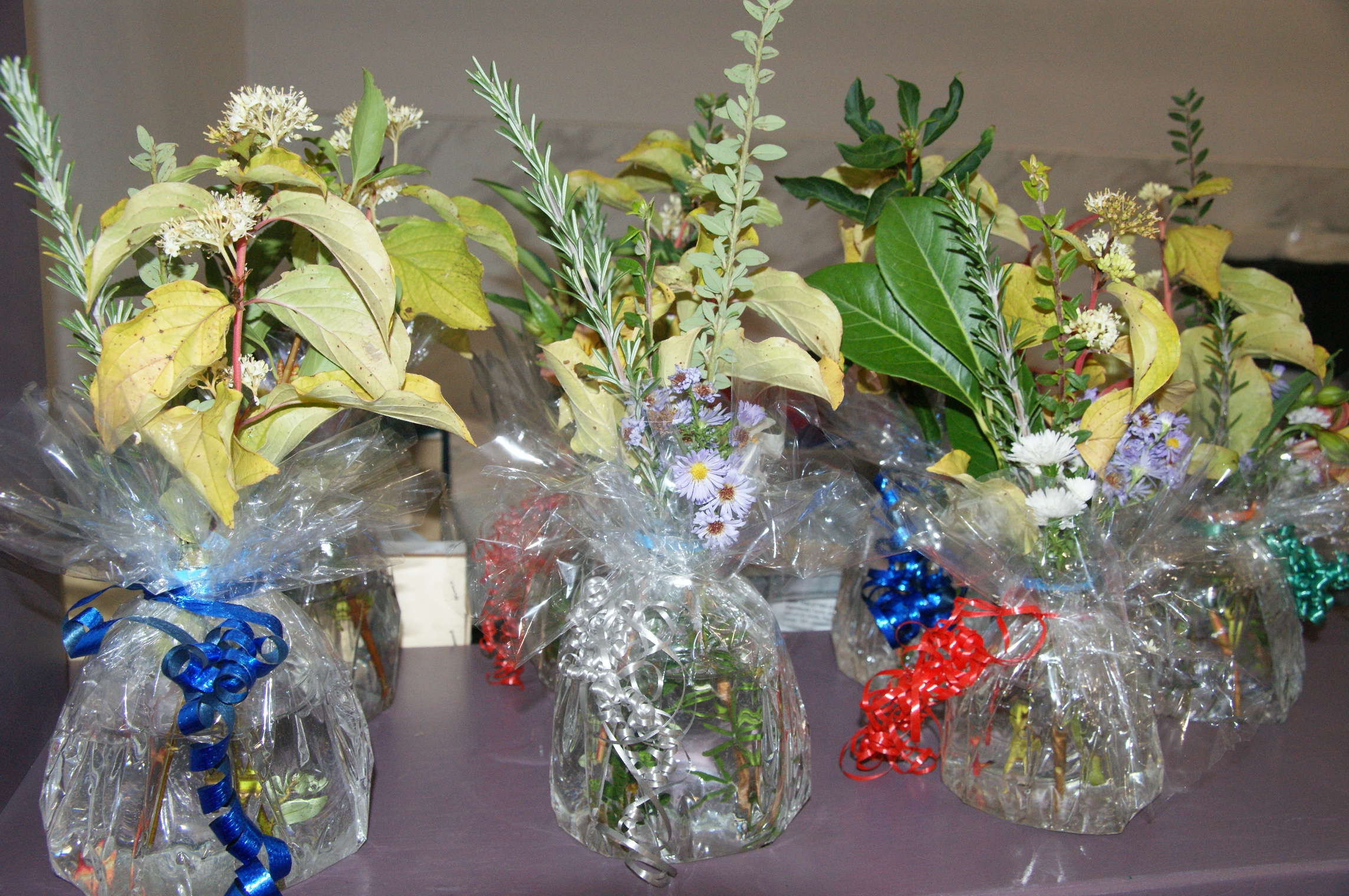 24 10 26 6 fruits de mer du lab 2 