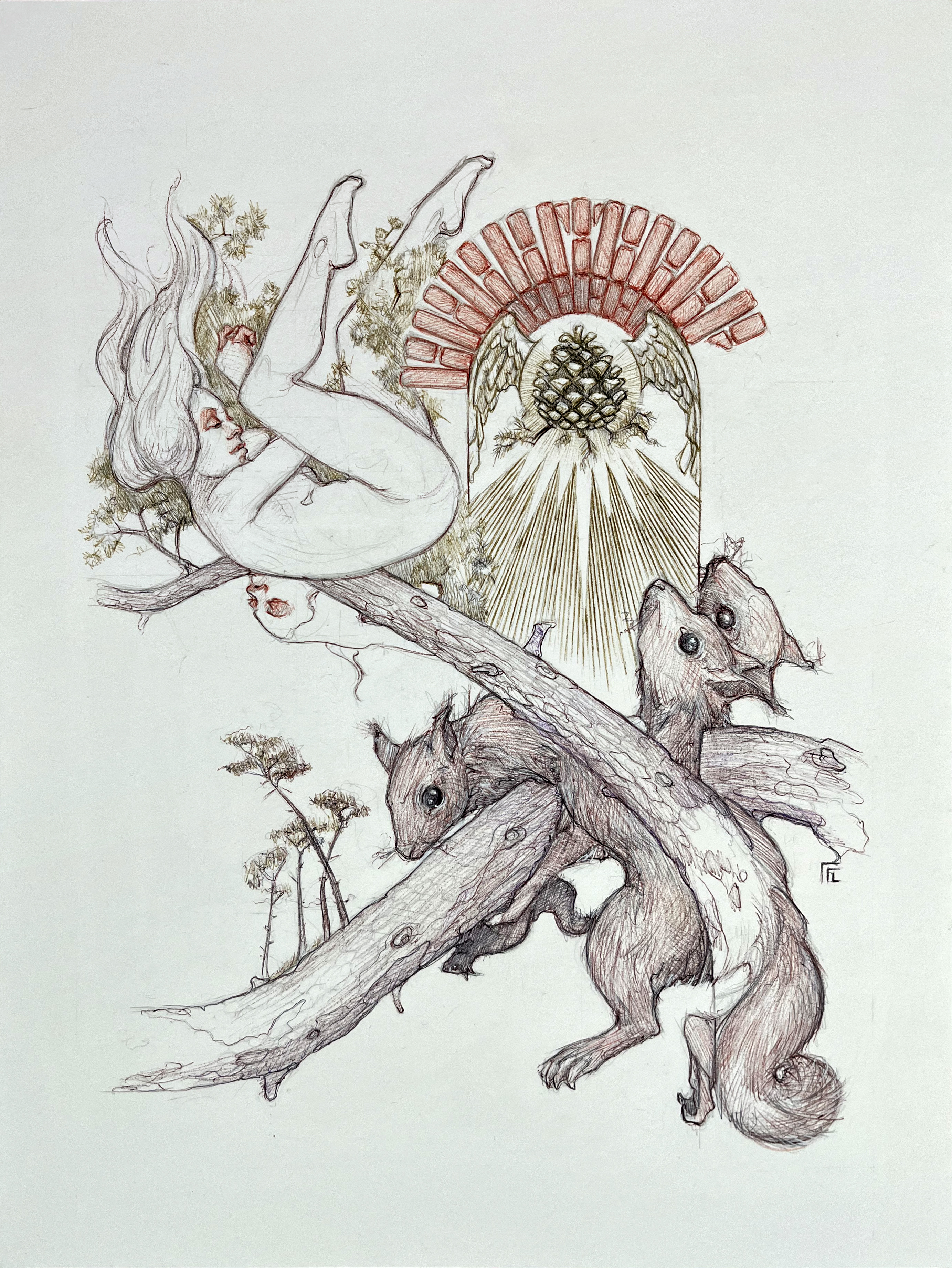 Maa