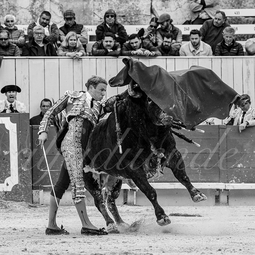 20240401 arles 024 bw bd