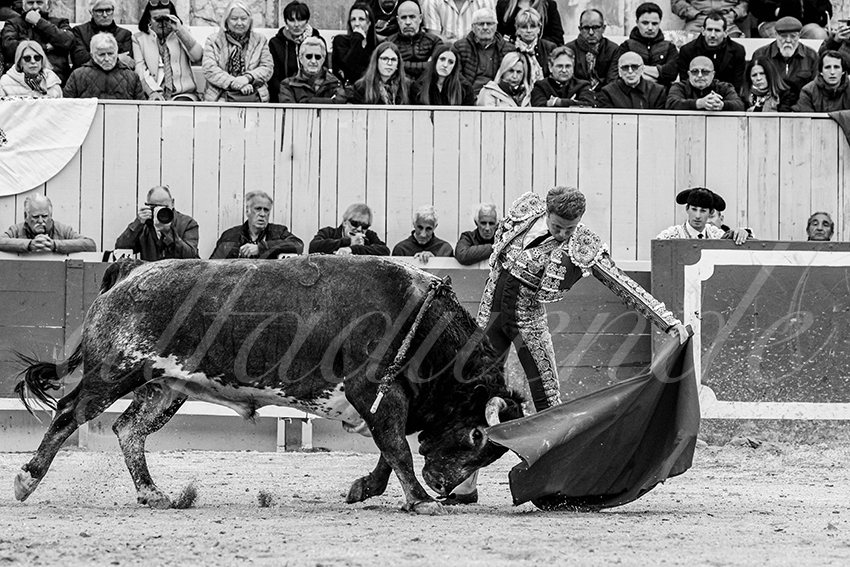 20240401 arles 023 bw bd