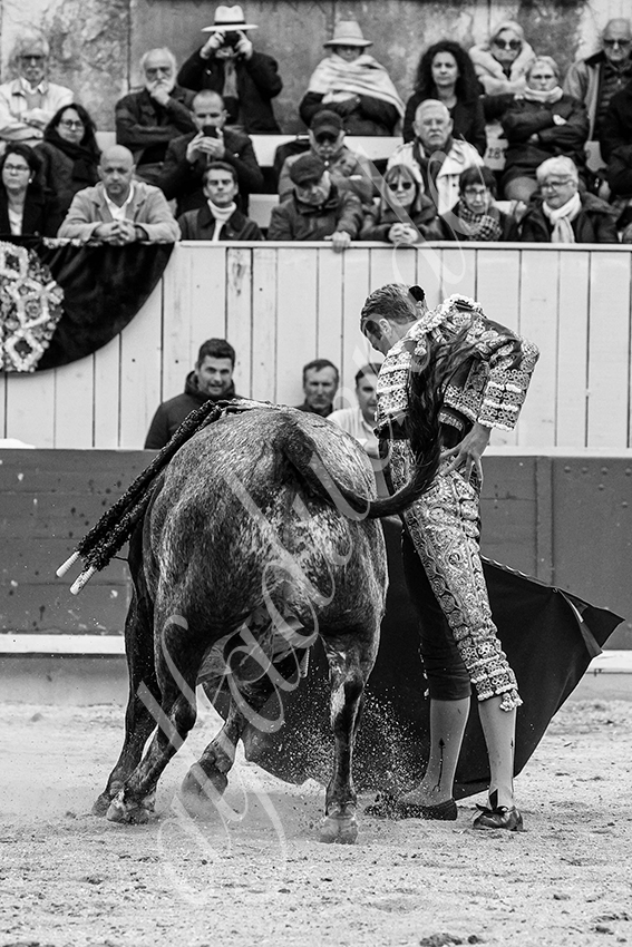 20240401 arles 022 bw bd