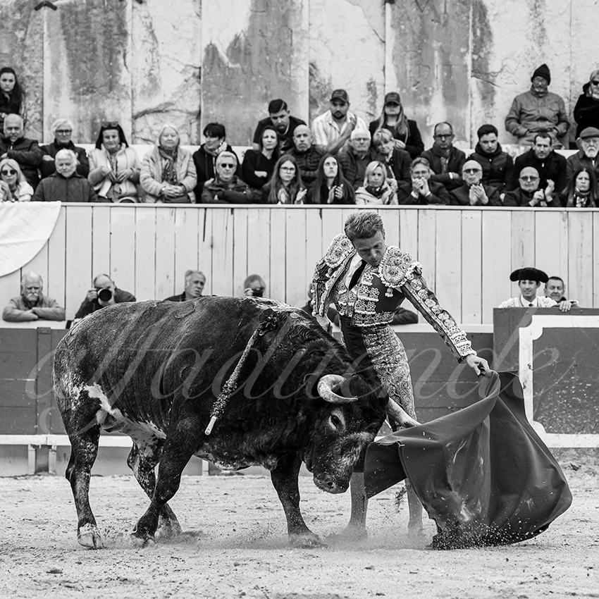 20240401 arles 021 bw bd