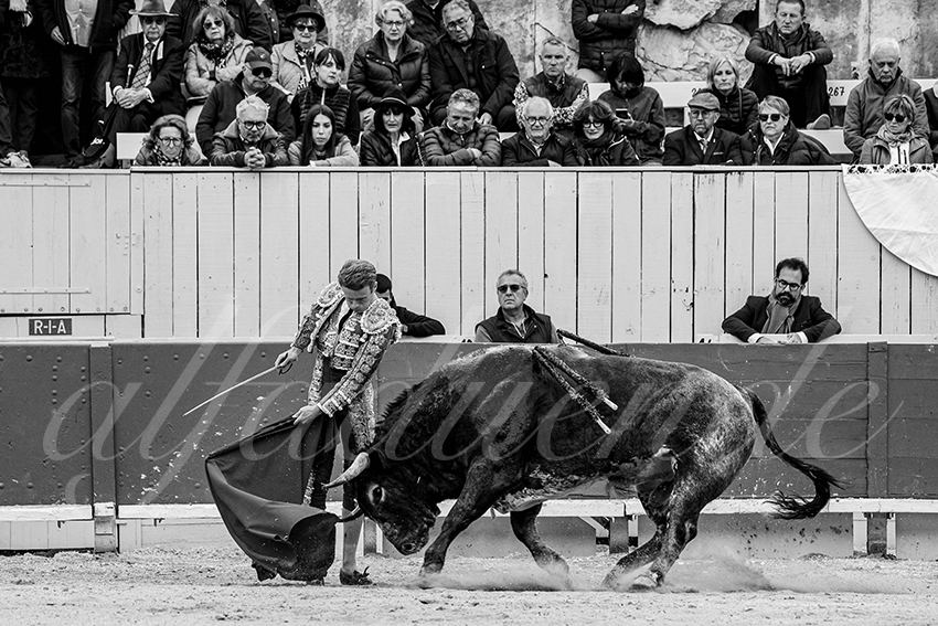 20240401 arles 020 bw bd