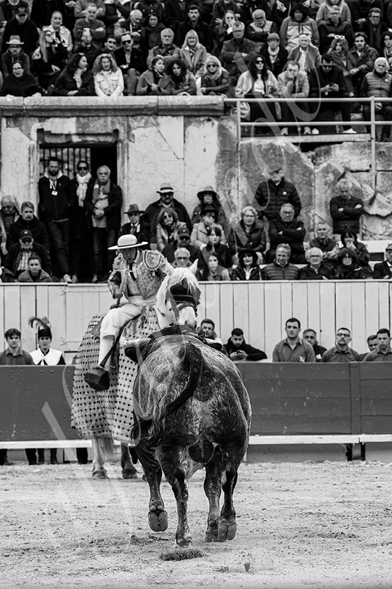 20240401 arles 019 bw bd