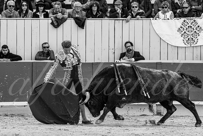 20240401 arles 018 bw bd