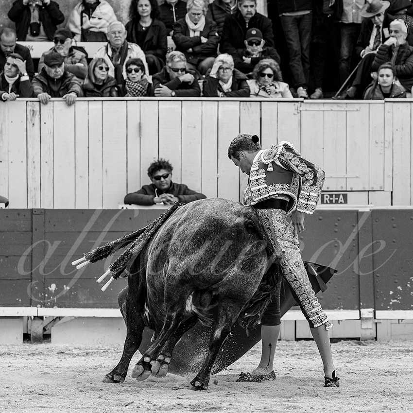 20240401 arles 017 bw bd