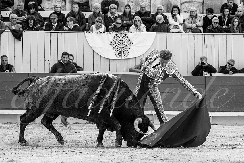 20240401 arles 016 bw bd