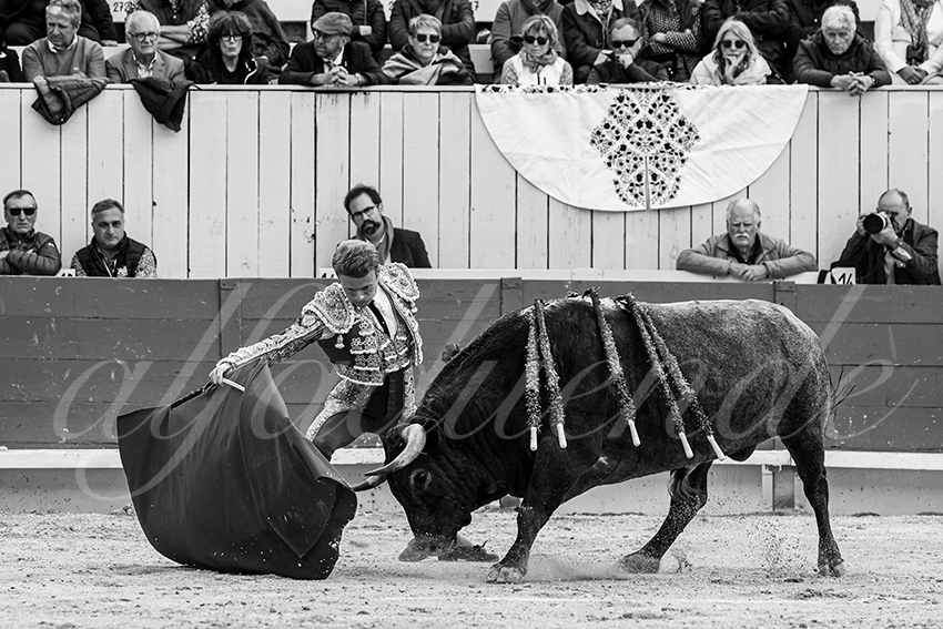 20240401 arles 015 bw bd