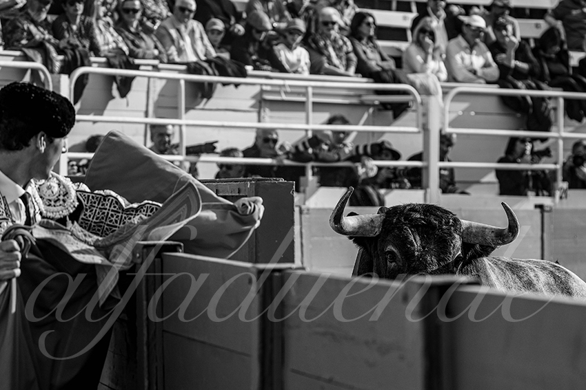 20240401 arles 014 bw bd