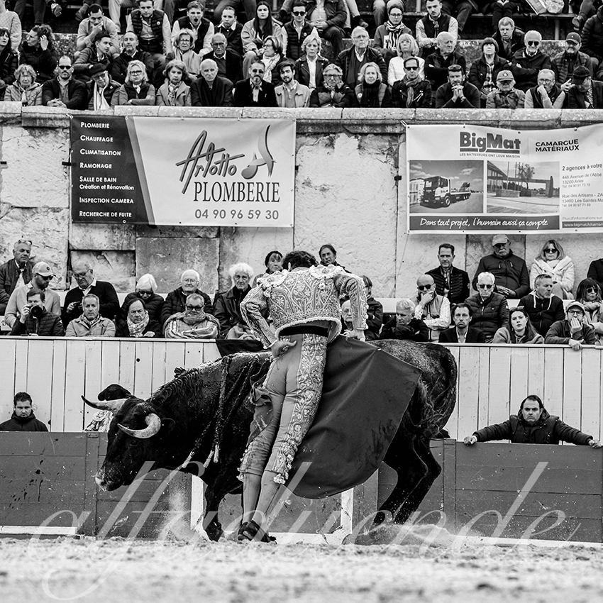 20240401 arles 013 bw bd