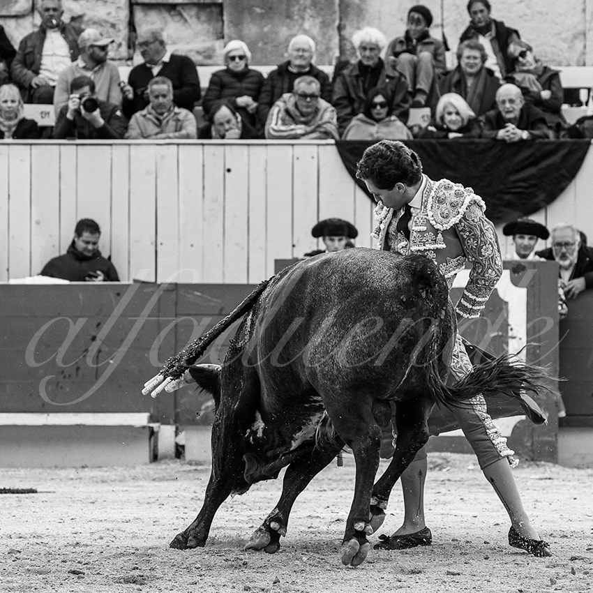 20240401 arles 012 bw bd