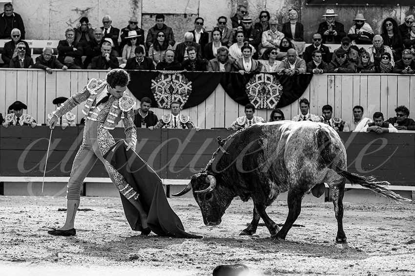 20240401 arles 011 bw bd