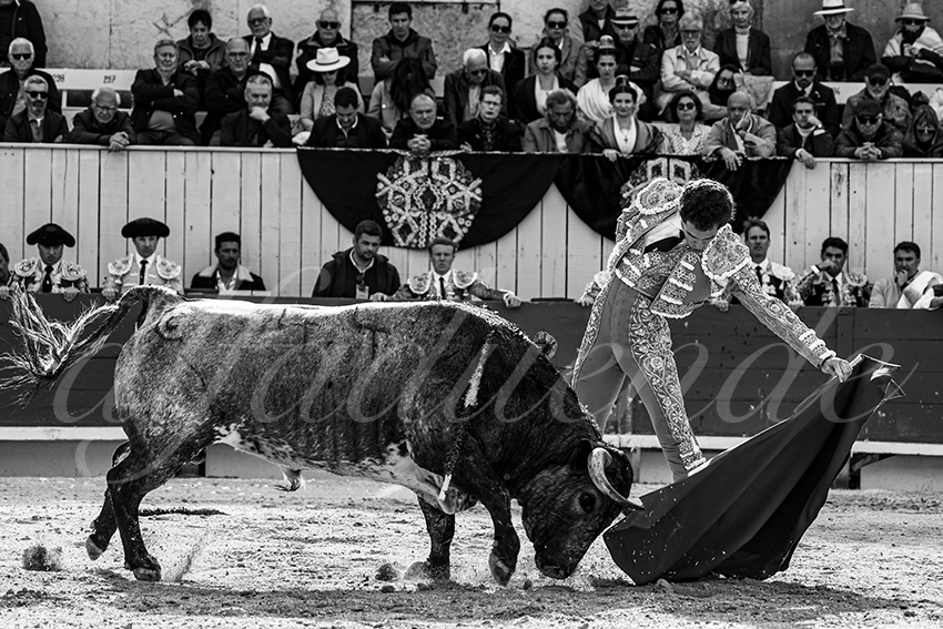 20240401 arles 010 bw bd