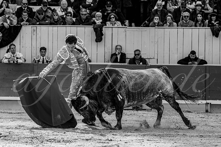 20240401 arles 009 bw bd