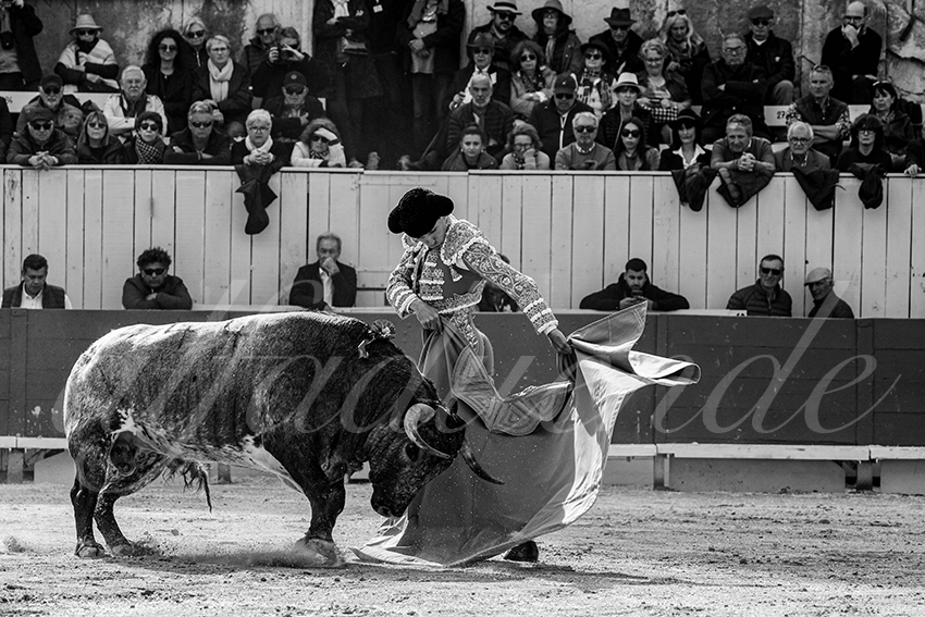 20240401 arles 008 bw bd