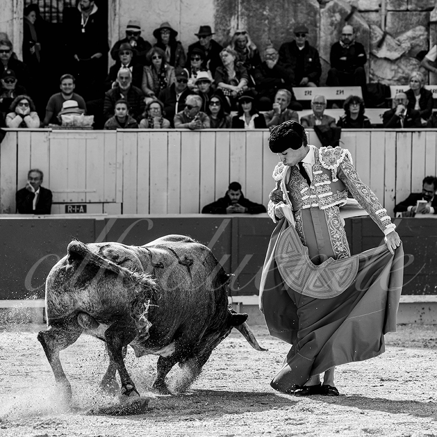 20240401 arles 007 bw bd