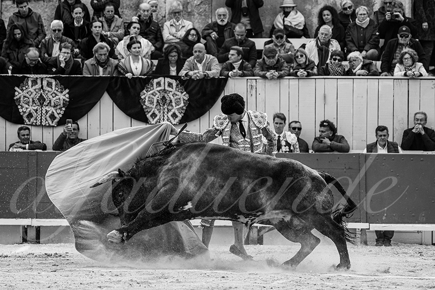 20240401 arles 006 bw bd