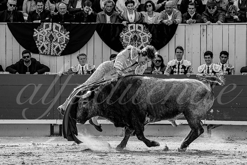 20240401 arles 005 bw bd