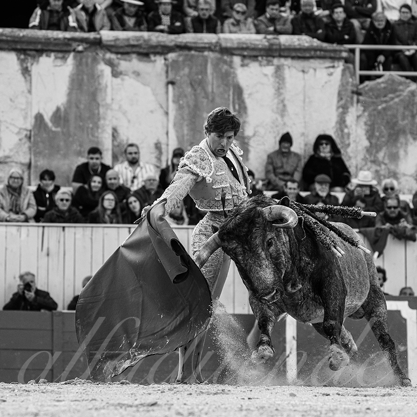 20240401 arles 004 bw bd