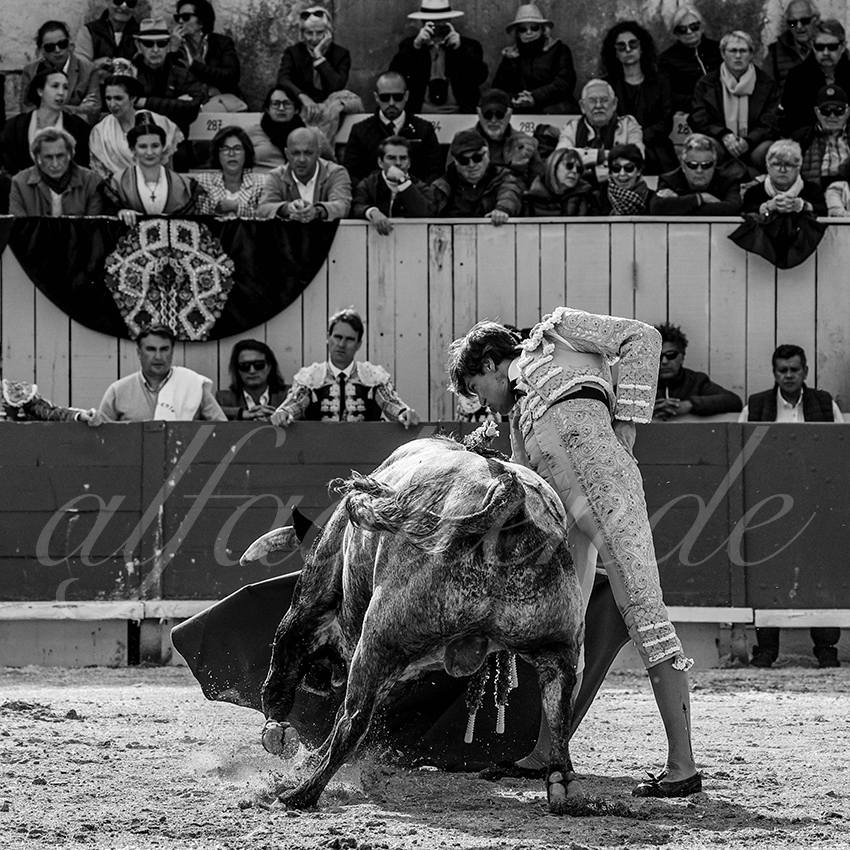 20240401 arles 003 bw bd