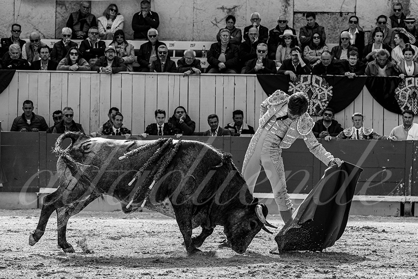 20240401 arles 002 bw bd