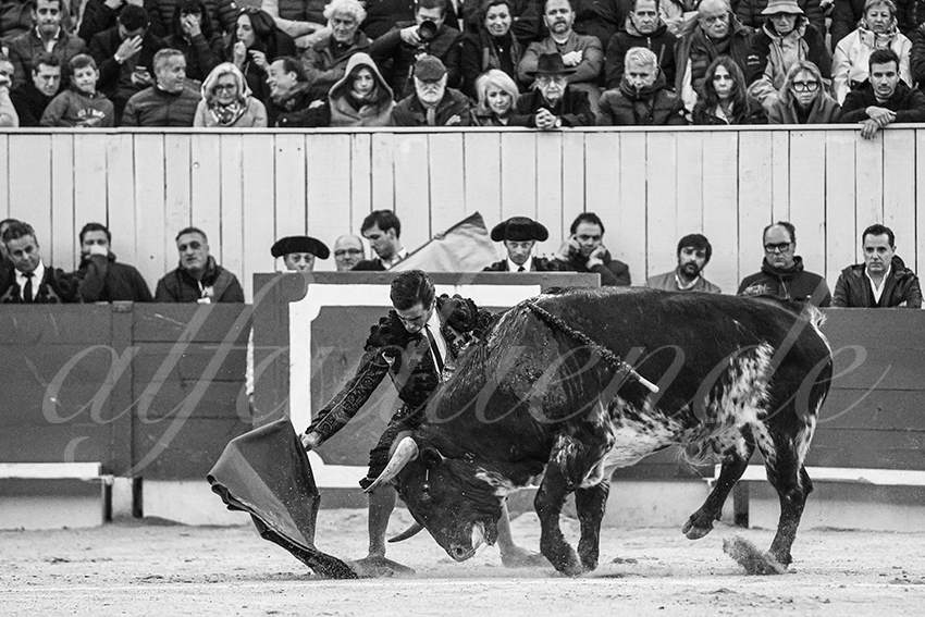 20240330 arles by alfaduende 012 bw bd