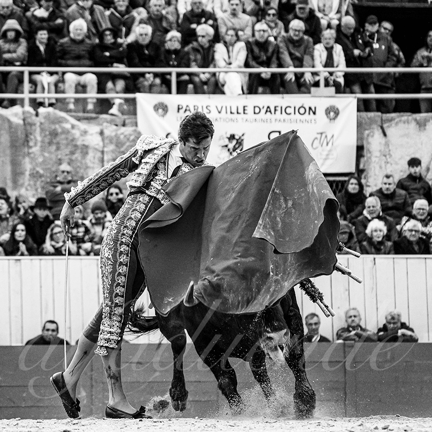 20240330 arles by alfaduende 011 bw bd