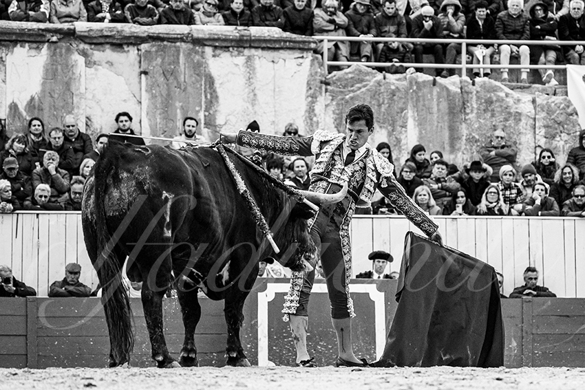 20240330 arles by alfaduende 010 bw bd