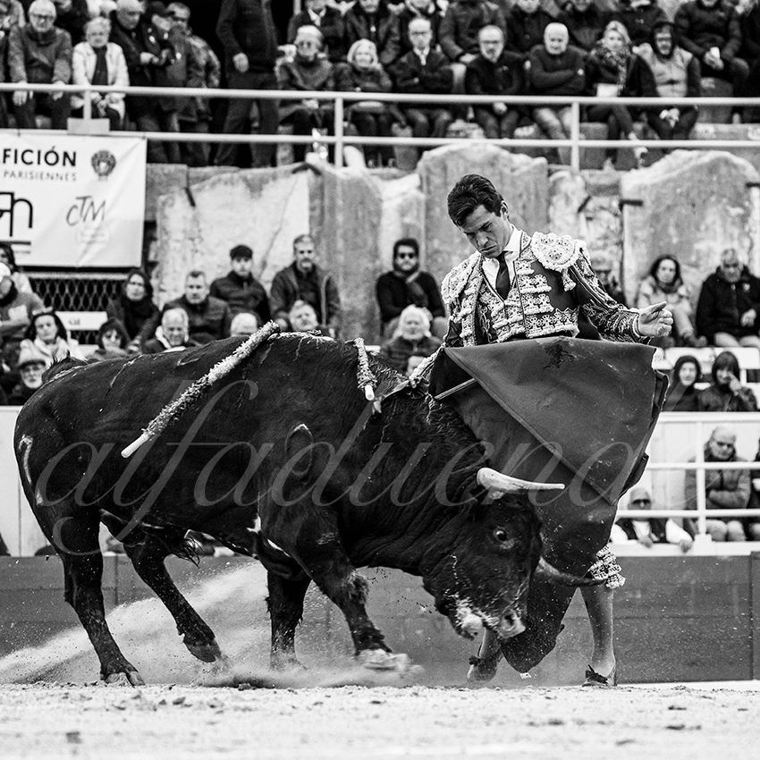 20240330 arles by alfaduende 009 bw bd